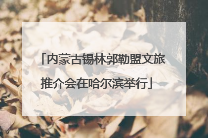 内蒙古锡林郭勒盟文旅推介会在哈尔滨举行