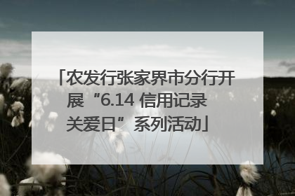 农发行张家界市分行开展“6.14 信用记录关爱日”系列活动