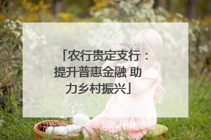 农行贵定支行：提升普惠金融 助力乡村振兴
