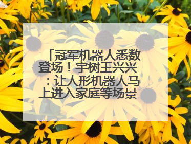 冠军机器人悉数登场！宇树王兴兴：让人形机器人马上进入家庭等场景并不现实