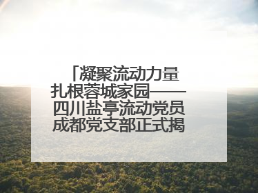 凝聚流动力量 扎根蓉城家园——四川盐亭流动党员成都党支部正式揭牌成立