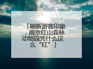刷新游客印象，南京红山森林动物园凭什么这么“红”