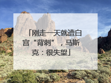 刚走一天就遭白宫“背刺”，马斯克：很失望