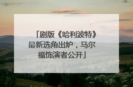 剧版《哈利波特》最新选角出炉，马尔福饰演者公开
