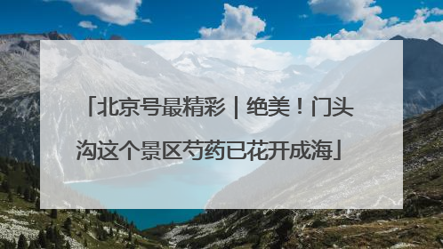 北京号最精彩｜绝美！门头沟这个景区芍药已花开成海