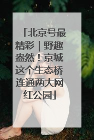 北京号最精彩｜野趣盎然！京城这个生态桥连通两大网红公园