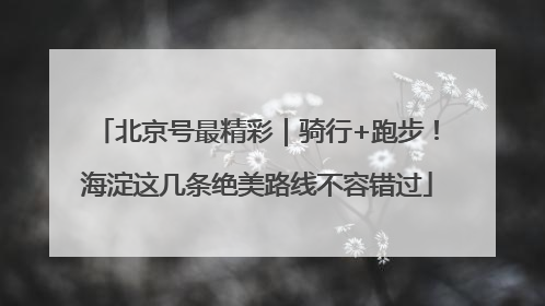 北京号最精彩｜骑行+跑步！海淀这几条绝美路线不容错过