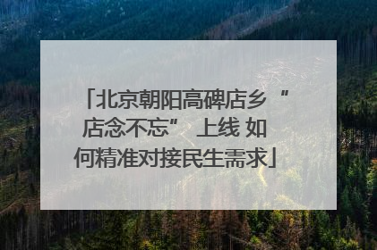 北京朝阳高碑店乡“店念不忘” 上线 如何精准对接民生需求