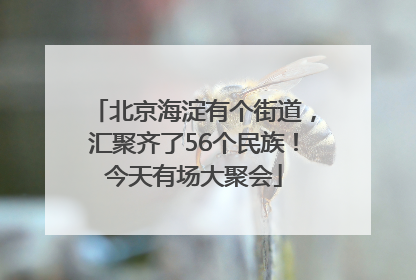 北京海淀有个街道，汇聚齐了56个民族！今天有场大聚会