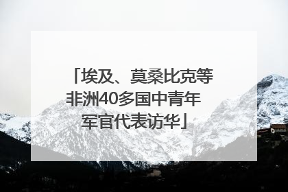 埃及、莫桑比克等非洲40多国中青年军官代表访华