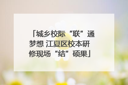 城乡校际“联”通梦想 江夏区校本研修现场“结”硕果