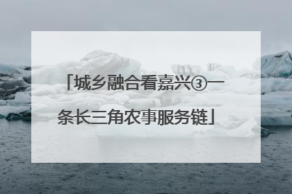 城乡融合看嘉兴③一条长三角农事服务链