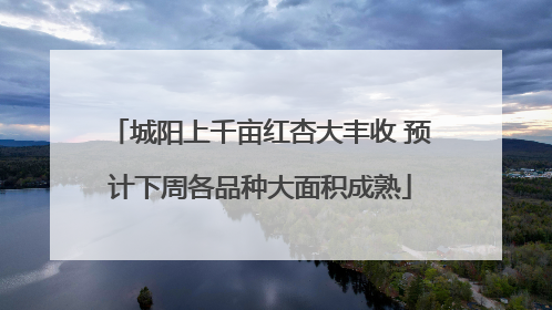 城阳上千亩红杏大丰收 预计下周各品种大面积成熟
