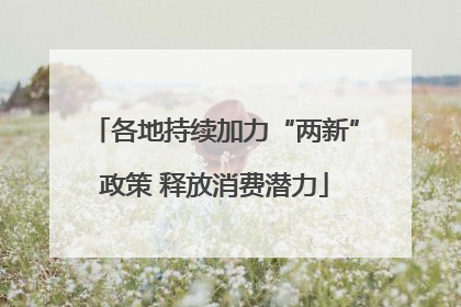 各地持续加力“两新”政策 释放消费潜力