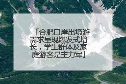 合肥口岸出境游需求呈现爆发式增长，学生群体及家庭游客是主力军
