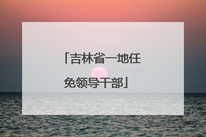 吉林省一地任免领导干部