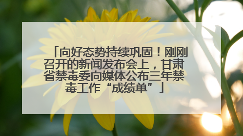 向好态势持续巩固！刚刚召开的新闻发布会上，甘肃省禁毒委向媒体公布三年禁毒工作“成绩单”