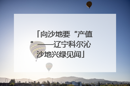 向沙地要“产值”——辽宁科尔沁沙地兴绿见闻