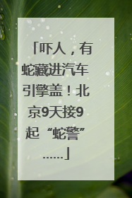 吓人，有蛇藏进汽车引擎盖！北京9天接9起“蛇警”……