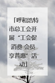 呼和浩特市总工会开展“工会促消费 会员享普惠”活动