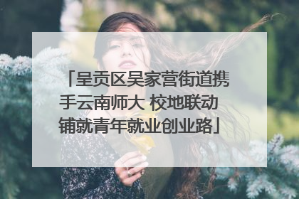 呈贡区吴家营街道携手云南师大 校地联动铺就青年就业创业路