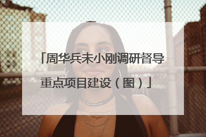 周华兵未小刚调研督导重点项目建设（图）