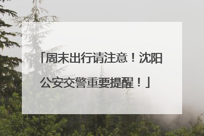 周末出行请注意！沈阳公安交警重要提醒！