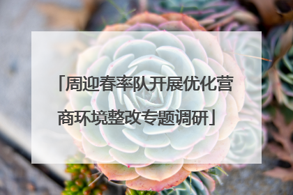 周迎春率队开展优化营商环境整改专题调研