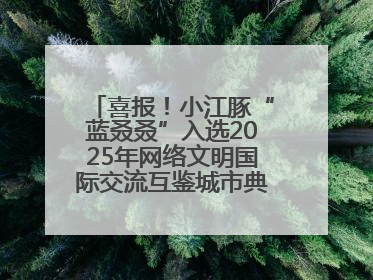 喜报！小江豚“蓝叒叒”入选2025年网络文明国际交流互鉴城市典型案例