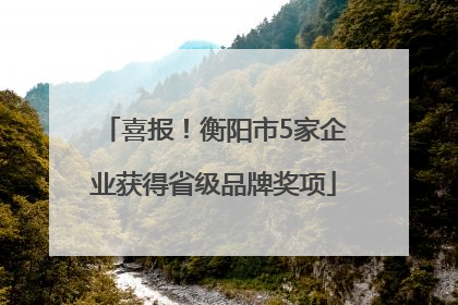 喜报！衡阳市5家企业获得省级品牌奖项