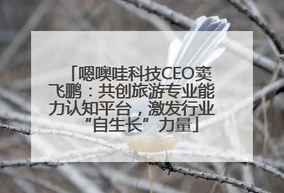 嗯噢哇科技CEO窦飞鹏：共创旅游专业能力认知平台，激发行业“自生长”力量
