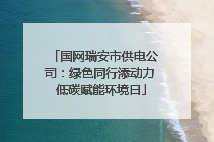 国网瑞安市供电公司：绿色同行添动力 低碳赋能环境日