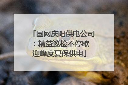 国网庆阳供电公司：精益巡检不停歇 迎峰度夏保供电