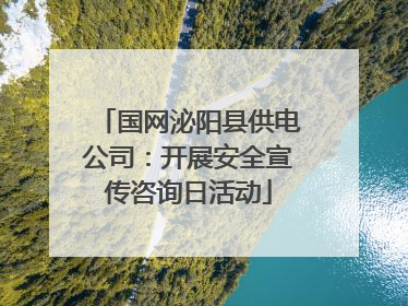 国网泌阳县供电公司：开展安全宣传咨询日活动