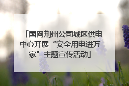 国网荆州公司城区供电中心开展“安全用电进万家”主题宣传活动