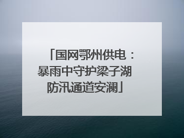 国网鄂州供电：暴雨中守护梁子湖防汛通道安澜