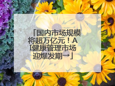 国内市场规模将超万亿元！AI健康管理市场迎爆发期→