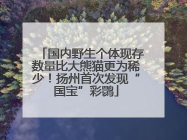 国内野生个体现存数量比大熊猫更为稀少！扬州首次发现“国宝”彩鹮