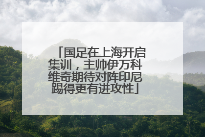 国足在上海开启集训，主帅伊万科维奇期待对阵印尼踢得更有进攻性
