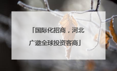 国际化招商，河北广邀全球投资客商
