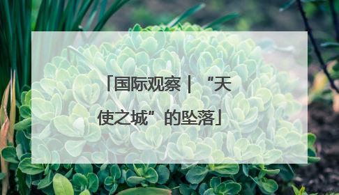 国际观察｜“天使之城”的坠落