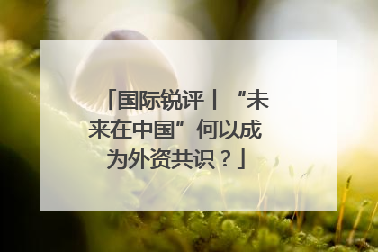 国际锐评丨“未来在中国”何以成为外资共识？