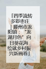 四季流转 多彩枣庄｜滕州市龙阳镇：“龙湖月色”向日葵花海 绘就乡村振兴新画卷