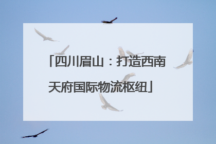 四川眉山：打造西南天府国际物流枢纽