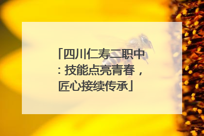 四川仁寿二职中：技能点亮青春，匠心接续传承