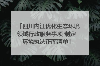 四川内江优化生态环境领域行政服务事项 制定环境执法正面清单