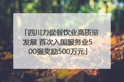 四川力促餐饮业高质量发展 首次入围服务业500强奖励500万元