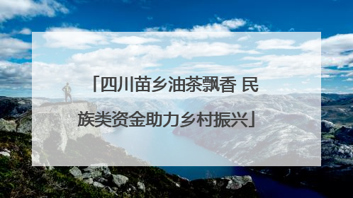 四川苗乡油茶飘香 民族类资金助力乡村振兴