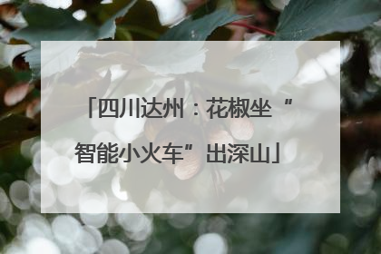 四川达州：花椒坐“智能小火车”出深山