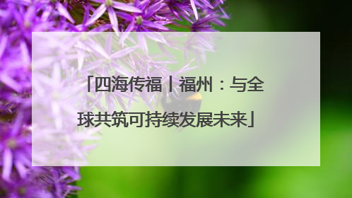 四海传福丨福州：与全球共筑可持续发展未来
